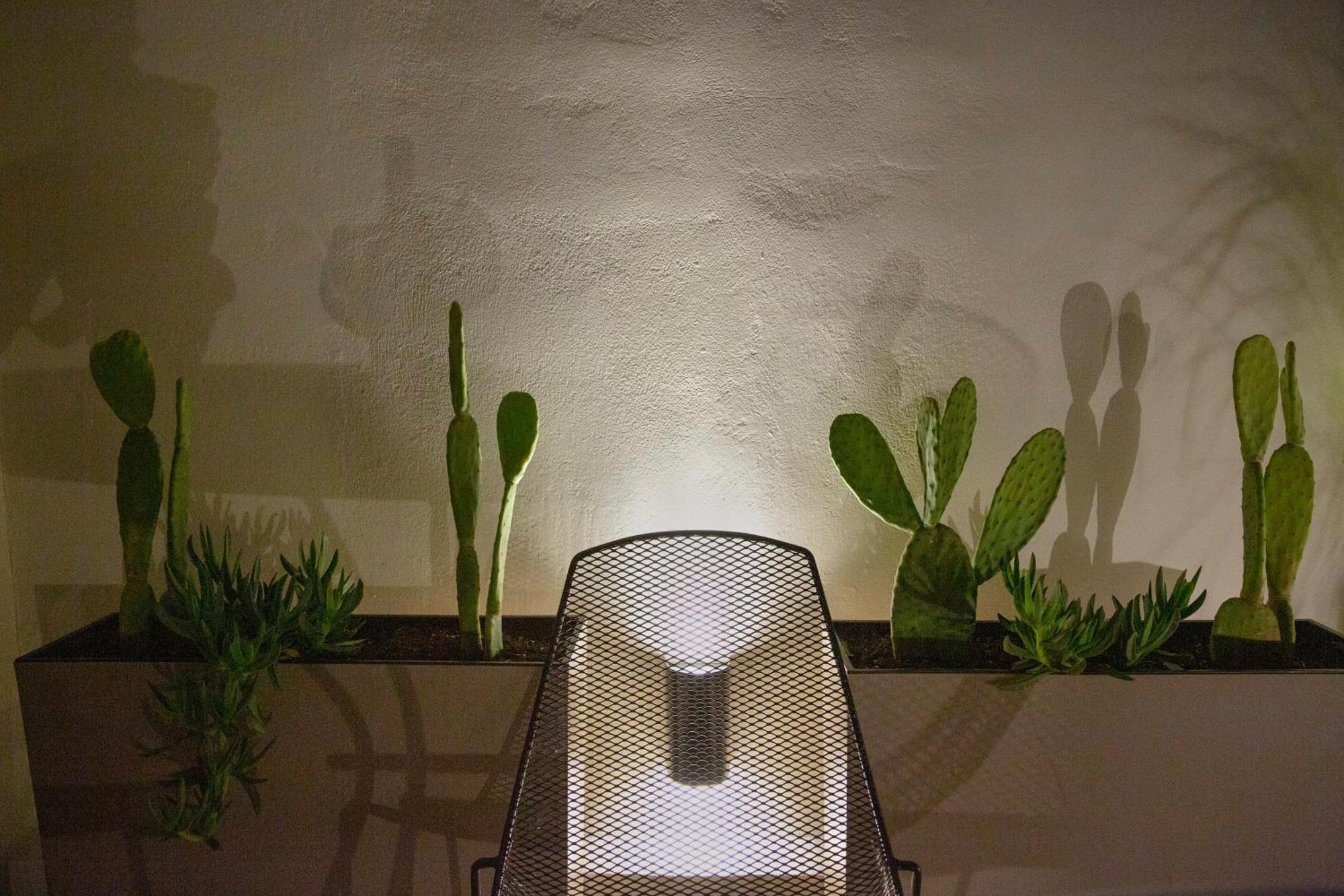Gallery House In Itea-delphi *